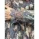 dress 55809 EDEL Grey flower cotton Ewa i Walla - 21