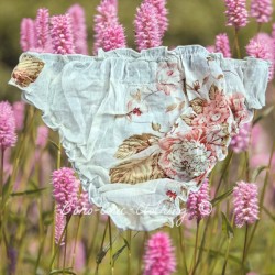 culotte PIMPRENELLE popeline de coton Imprimé fleurs Les Ours - 1