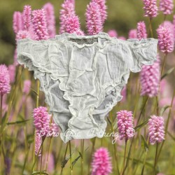 knickers PIMPRENELLE Ecru cotton