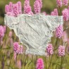 knickers PIMPRENELLE Ecru cotton Les Ours - 2