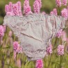 culotte PIMPRENELLE coton Rose Les Ours - 2