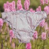 culotte PIMPRENELLE coton Rose Les Ours - 1